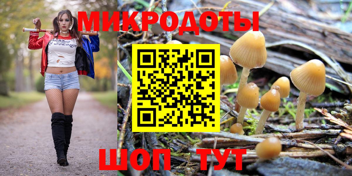 Чусовой  Псилоцибиновые грибы MAGIC MUSHROOMS  Вход с VPN 