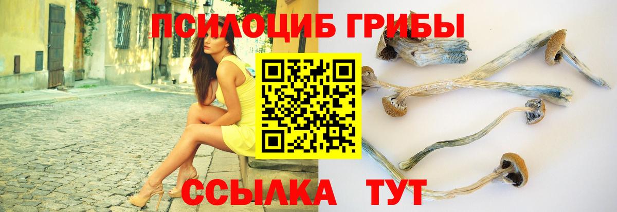 Галлюциногенные грибы Cubensis Чусовой